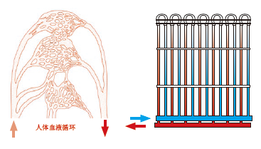 ?毛細(xì)管輻射空調(diào)系統(tǒng)效果好不好？毛細(xì)管輻射空調(diào)原理